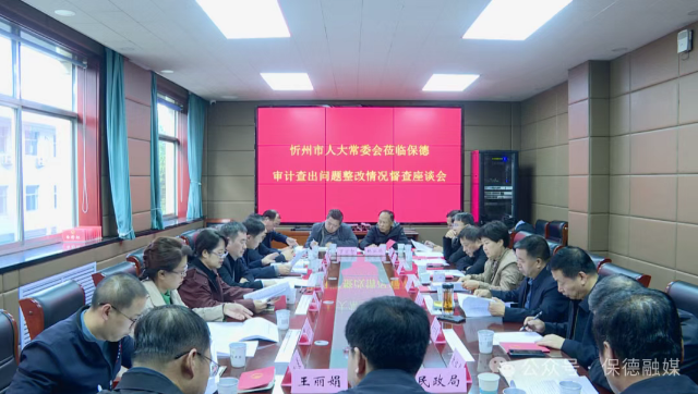 市人大常委会莅临我县召开审计查出...